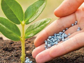 Fertilizantes sólidos al suelo
