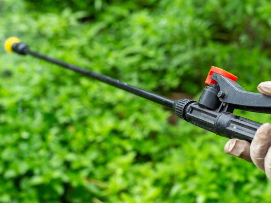 Fertilizantes solubles en agua